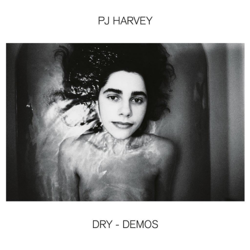 HARVEY, P.J. - DRY - DEMOSHARVEY, P.J. - DRY - DEMOS.jpg